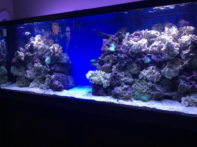 IMG_1111.jpg IMG_1111.jpg