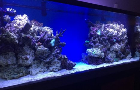 IMG_1109.jpg IMG_1109.jpg