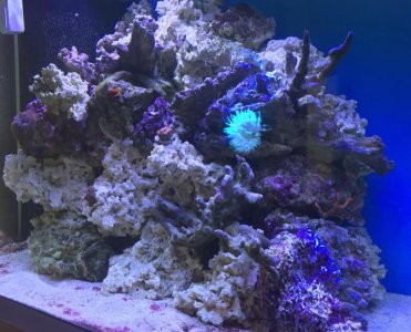 IMG_1126.jpg IMG_1126.jpg