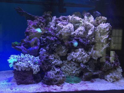 IMG_1127.jpg IMG_1127.jpg