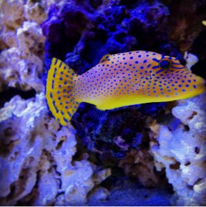 IMG_0590.jpg IMG_0590.jpg