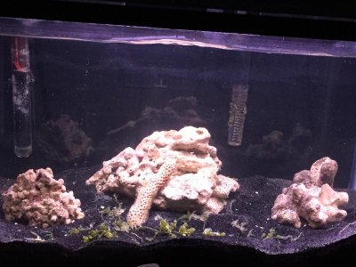 Macro Tank 2.jpg