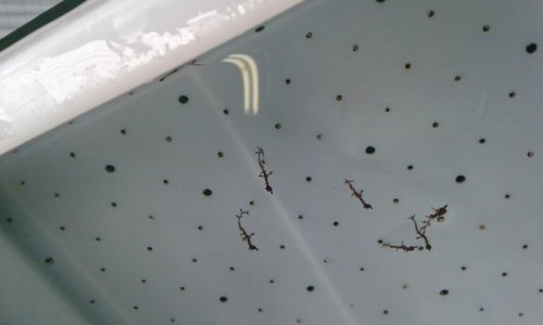 20150120_150832.jpg