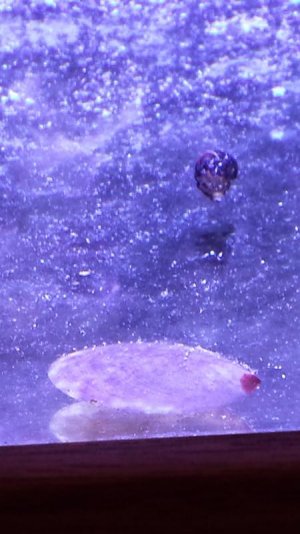20150120_162804.jpg