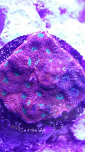 20150121_163055.jpg