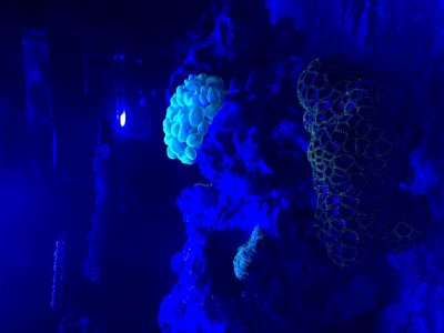 IMG_0019.jpg