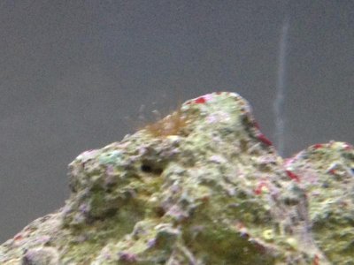IMG_3360.jpg
