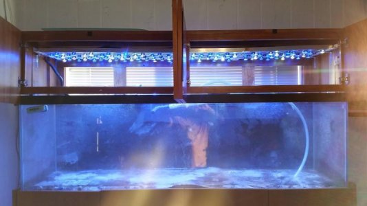 Led tank.jpg