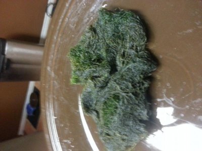 20150123_181755.jpg