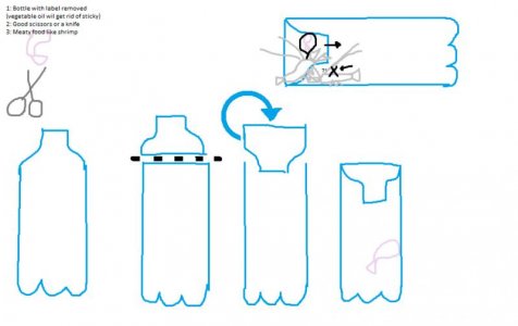 Bottle trap instructions.jpg