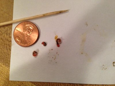 IMG_0923 (1).jpg IMG_0923 (1).jpg