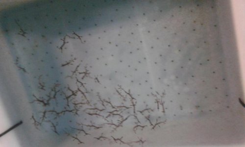 20150125_064933.jpg