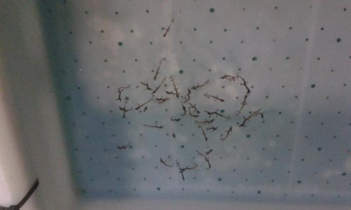 20150125_064947.jpg