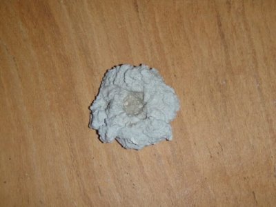 ImageUploadedByTapatalk1422135895.261051.jpg ImageUploadedByTapatalk1422135895.261051.jpg