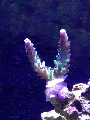 IMG_3070.jpg