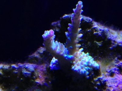 IMG_3949.jpg