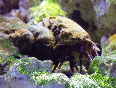 20150124_195315 (2).jpg