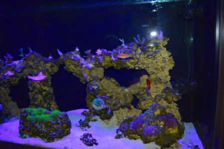 DSC_0054.jpg