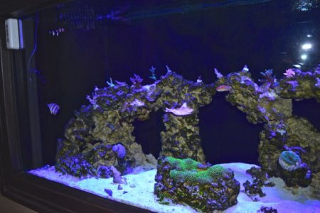 DSC_0055.jpg