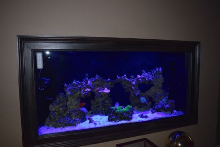 DSC_0053.jpg
