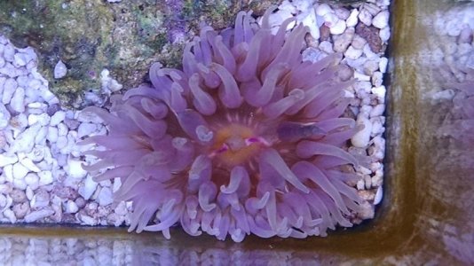 2015-01-12 20.50.06.jpg