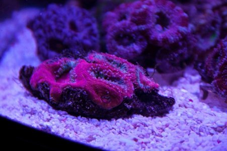 IMG_2679.jpg