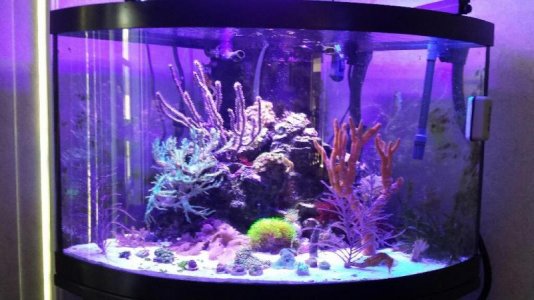 20150125_145331.jpg