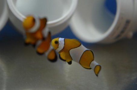 DSC_7800 (800x530).jpg