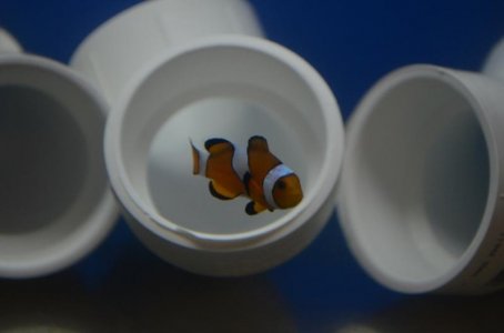 DSC_7759 (800x530).jpg