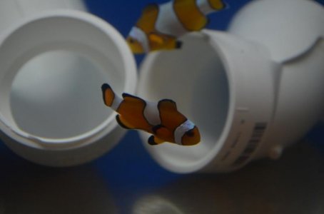 DSC_7761 (800x530).jpg