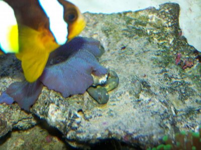 100_3515.jpg