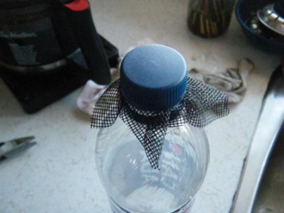 DSCF1719.jpg