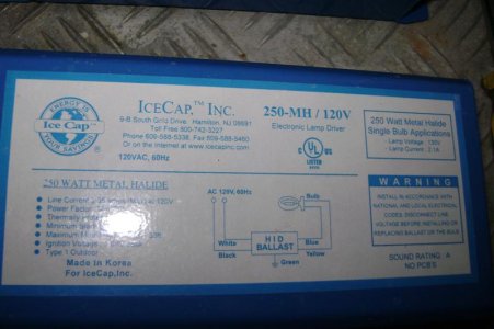 cannon 137 (Medium).jpg