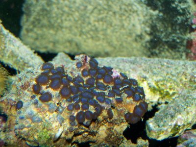100_3522.jpg