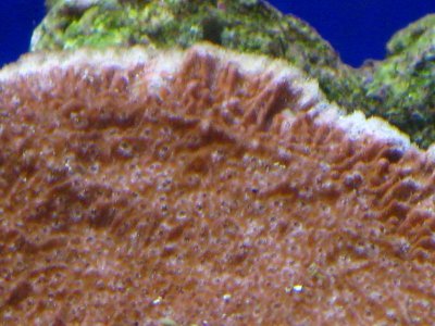 IMG_2352.jpg