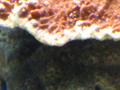 IMG_2353.jpg