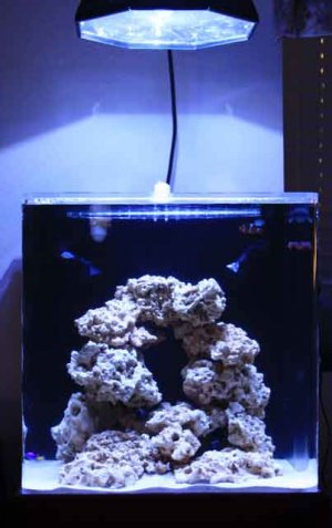 fts_031010.jpg