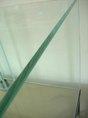 DSCI0161.jpg