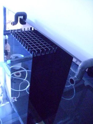DSCI0265.jpg