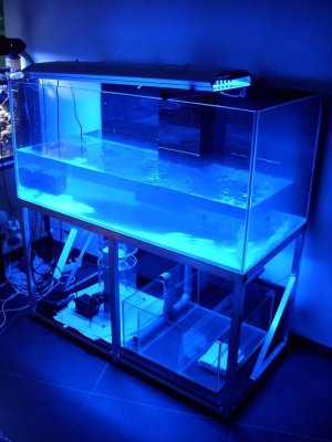 DSCI0304.jpg