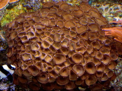 PICT3679.jpg