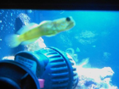 IMAG0047.jpg