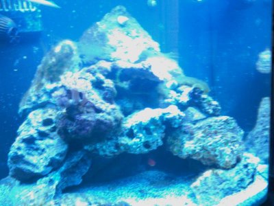 IMAG0049.jpg