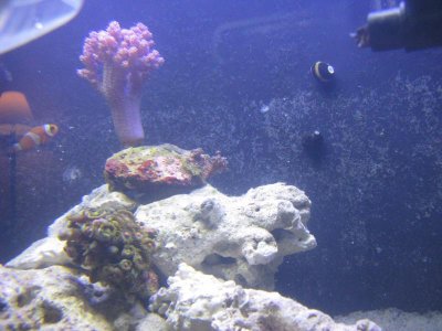 IMG_2764.jpg