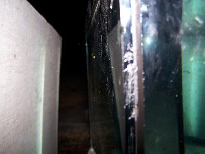 Side 1.jpg