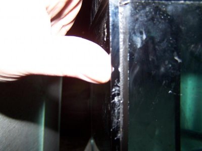 side 2.jpg