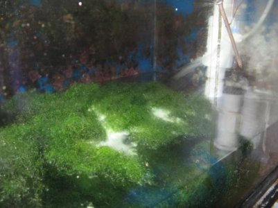 IMG_8994.jpg