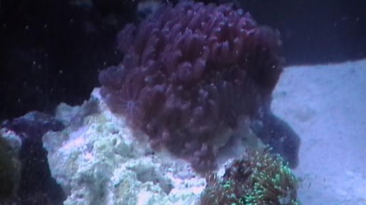 IMGA0998.jpg