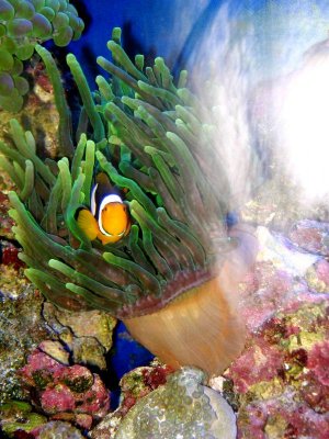 IMG_3801.jpg IMG_3801.jpg