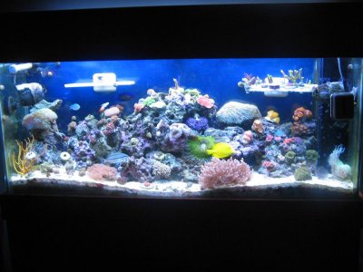 IMG_3815.jpg IMG_3815.jpg